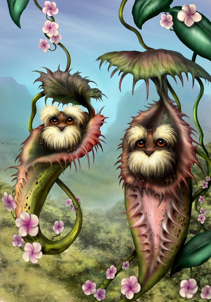 Hiker crossing a rocky stream